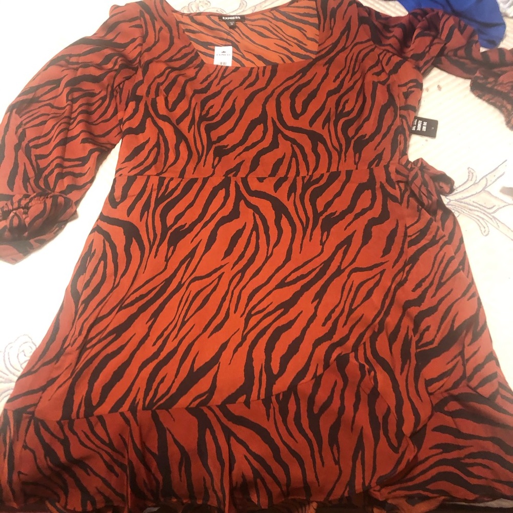 Express Tiger Dress